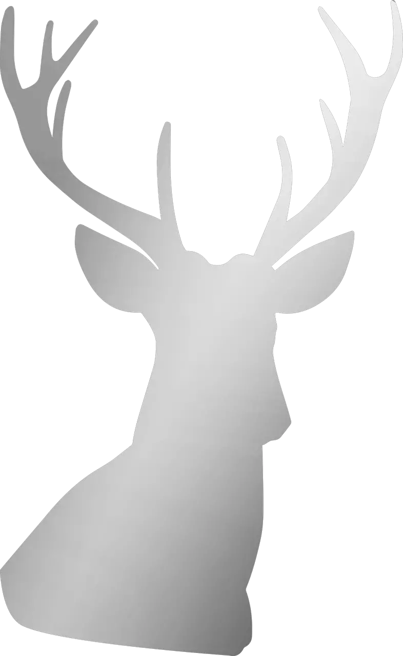  Silver Deer Antler Free Image On Pixabay Silver Stag Png Buck Png