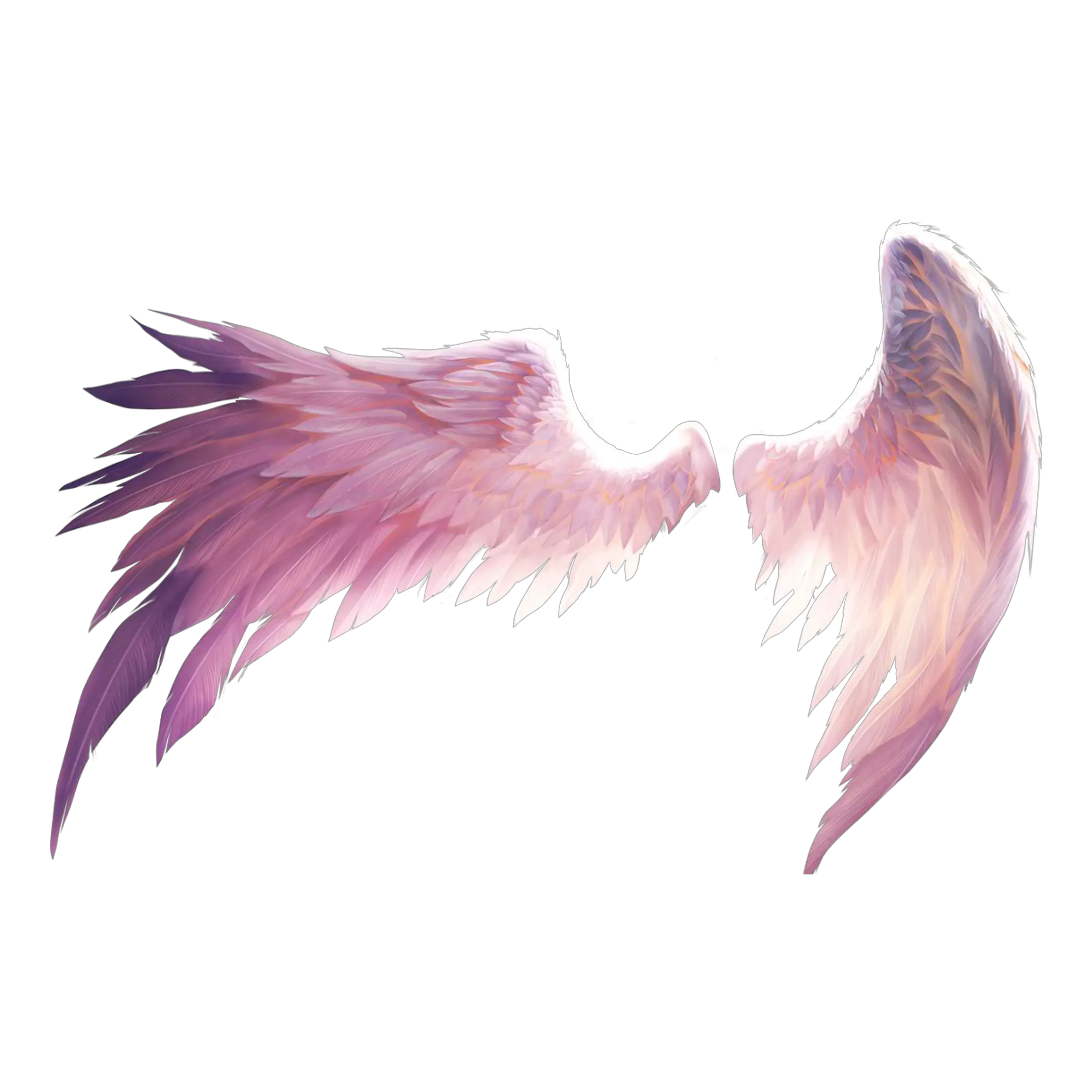  Wings Pink Angel Wings Art Png Wing Png