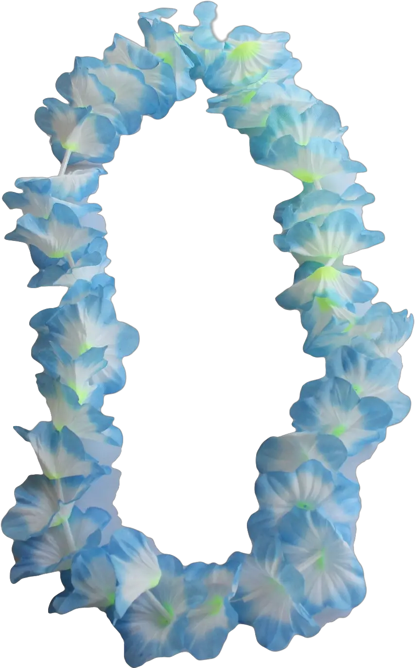  Download 12 X Hawaiian Flower Leis Flower Lei Png Lei Png