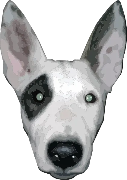  Bullterrier Head 5 Clip Art Cara De Perro Png Animal Head Png