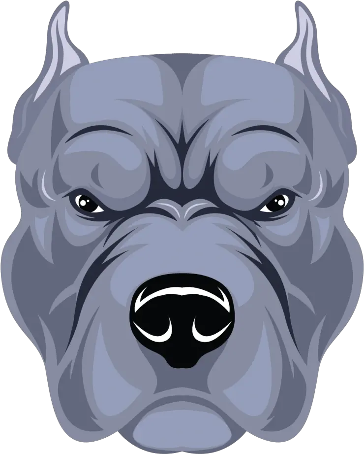  Bull Dog Face Illustration Photo 915 Pngfilenet Free Guard Dog Pit Bull Png