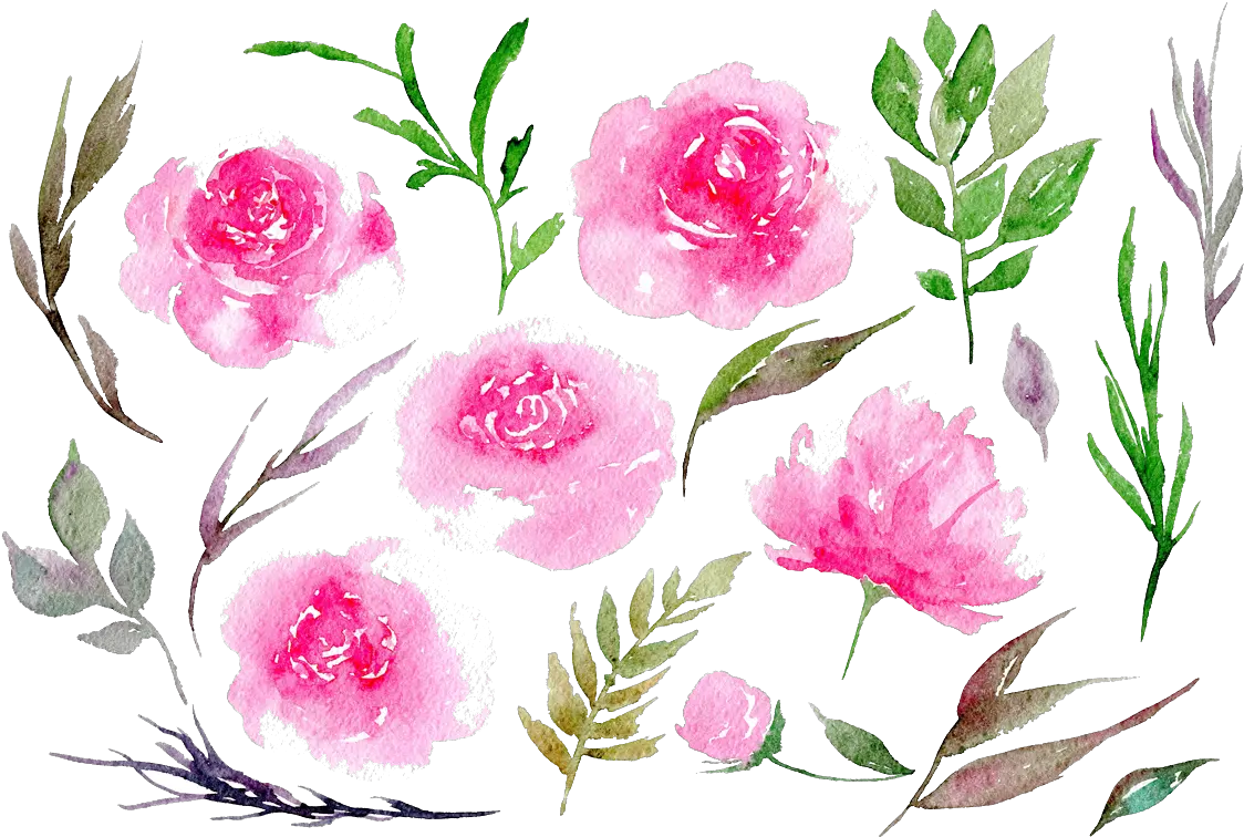  Download Peonies Png Clipart Peonies Water Color Png Peonies Png