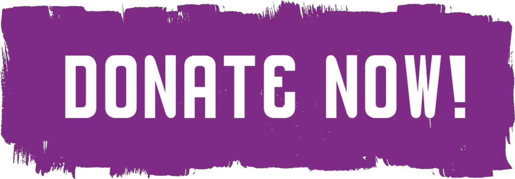  Download Donate Now Donation Twitch Png Donate Button Png