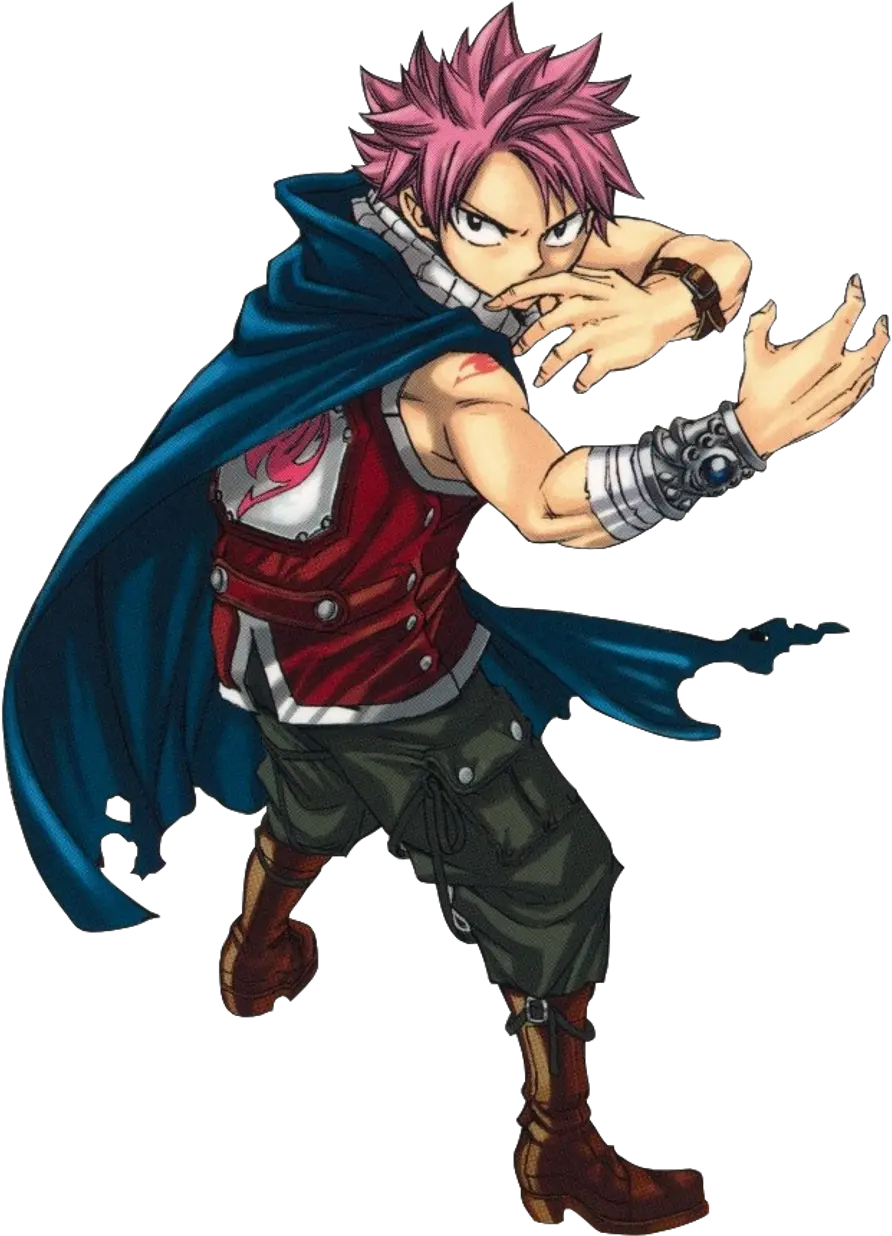  Le Carnet Manga Fairy Tail Natsu Png Natsu Png