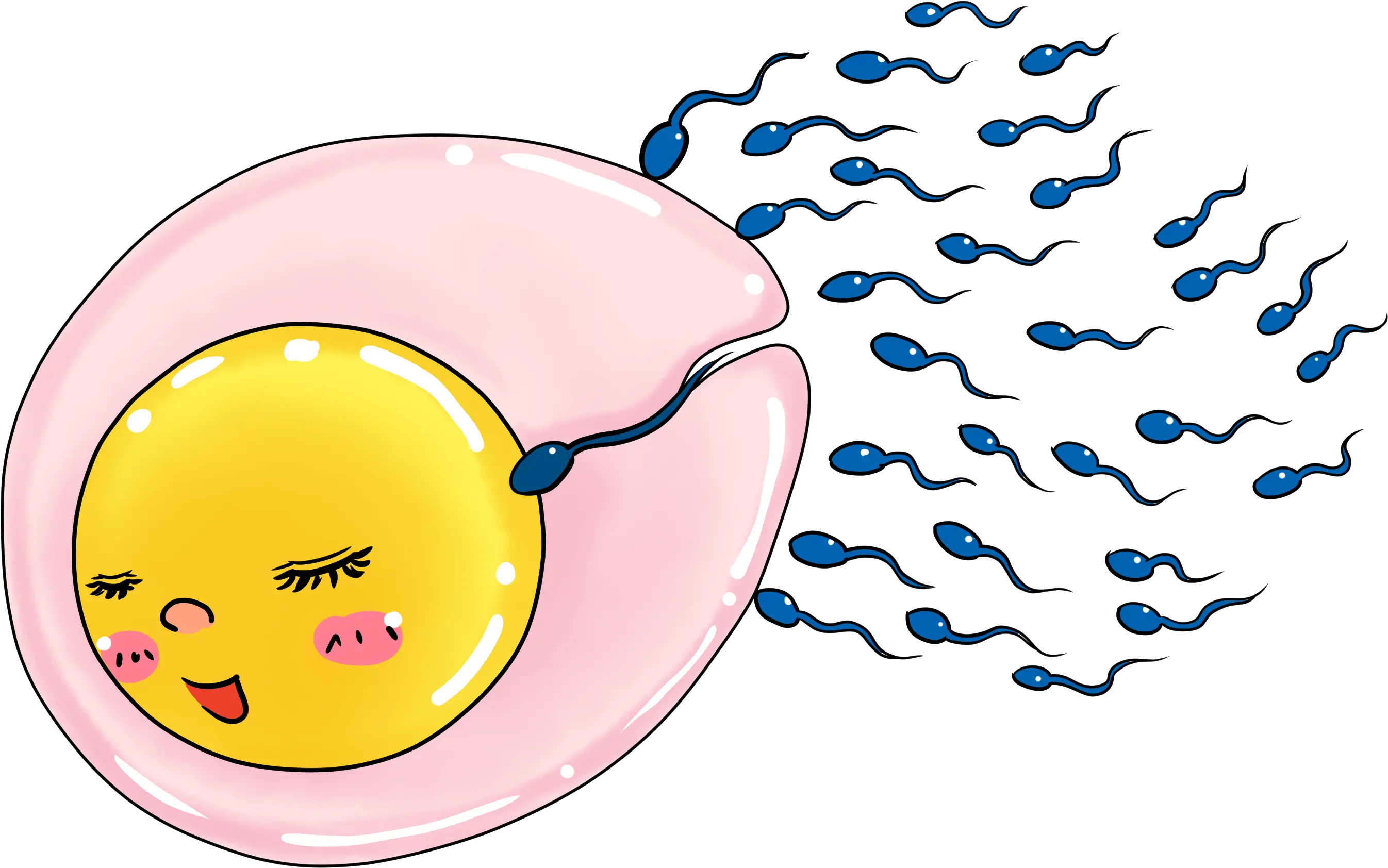  Donation Cartoon On Egg And Sperm Png Donation Png