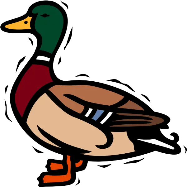  Download Mallard Duck Clipart Png Image Duck Clipart Duck Clipart Png