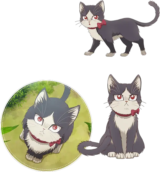  Haru From My Roommate Is A Cat Haru My Roommate Is A Cat Png Anime Cat Png