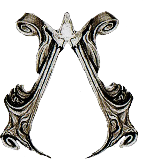  Assassin Insignia Assassinu0027s Creed Wiki Fandom All Assassins Creed Symbols Png Creed Logo