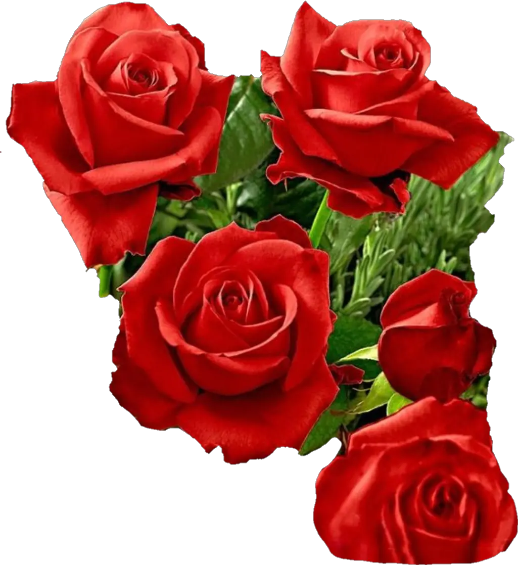  Flores Png Rosas