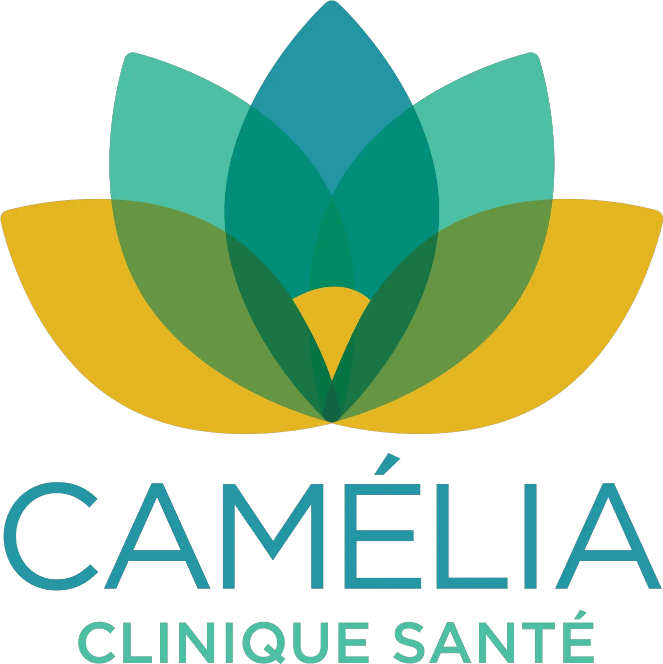  Camelia Clinique Sante Montreal Graphic Design Png Clinique Logo