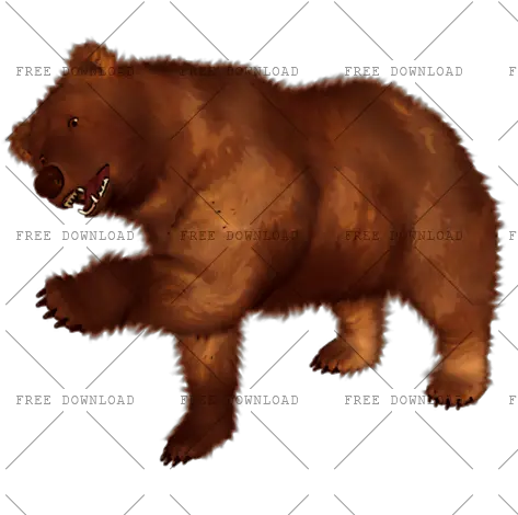  Png Image With Transparent Background Bear Png Grizzly Bear Png