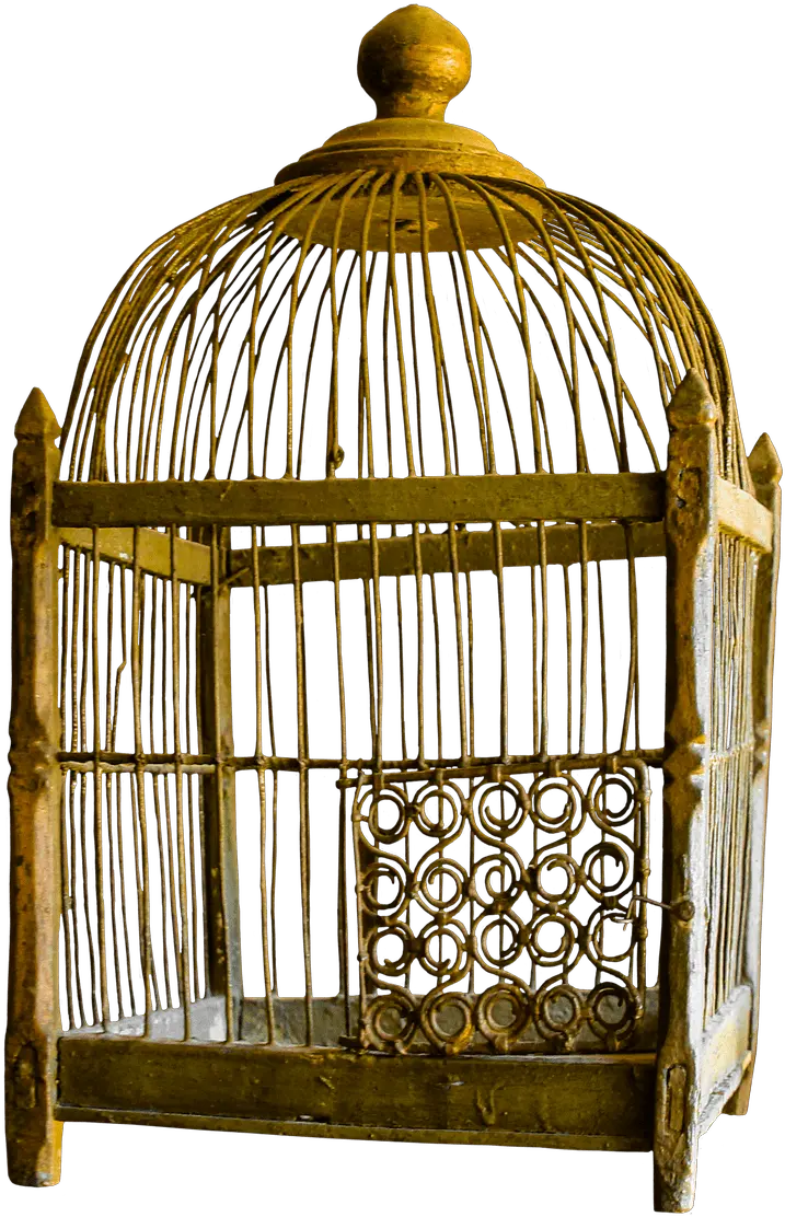  Golden Cage Png Transparent Background Golden Bird Cage Transparent Background Cage Png