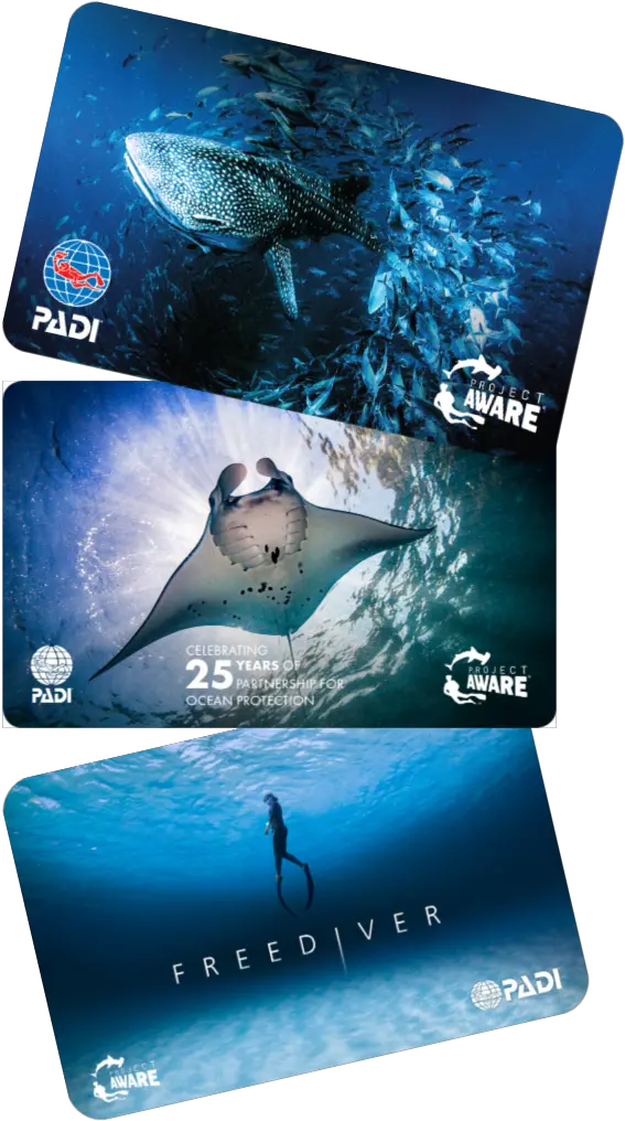  Padi Project Aware Padi Project Aware Cards Png Card Suit Png