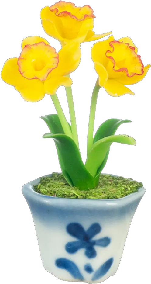  Daffodil Flowers In A Pot Dollhouse Tulip Png Daffodil Png