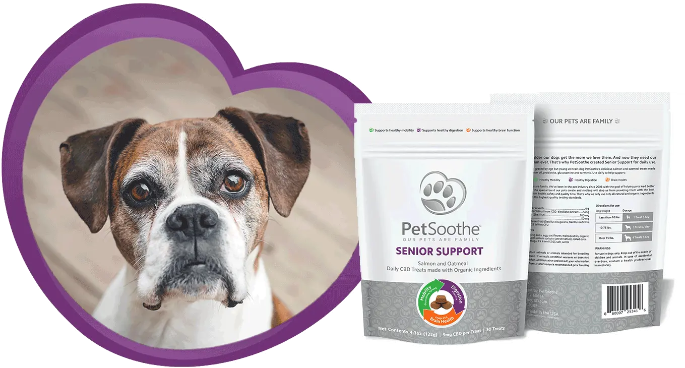  Home Petsoothe Png Boxer Dog Icon