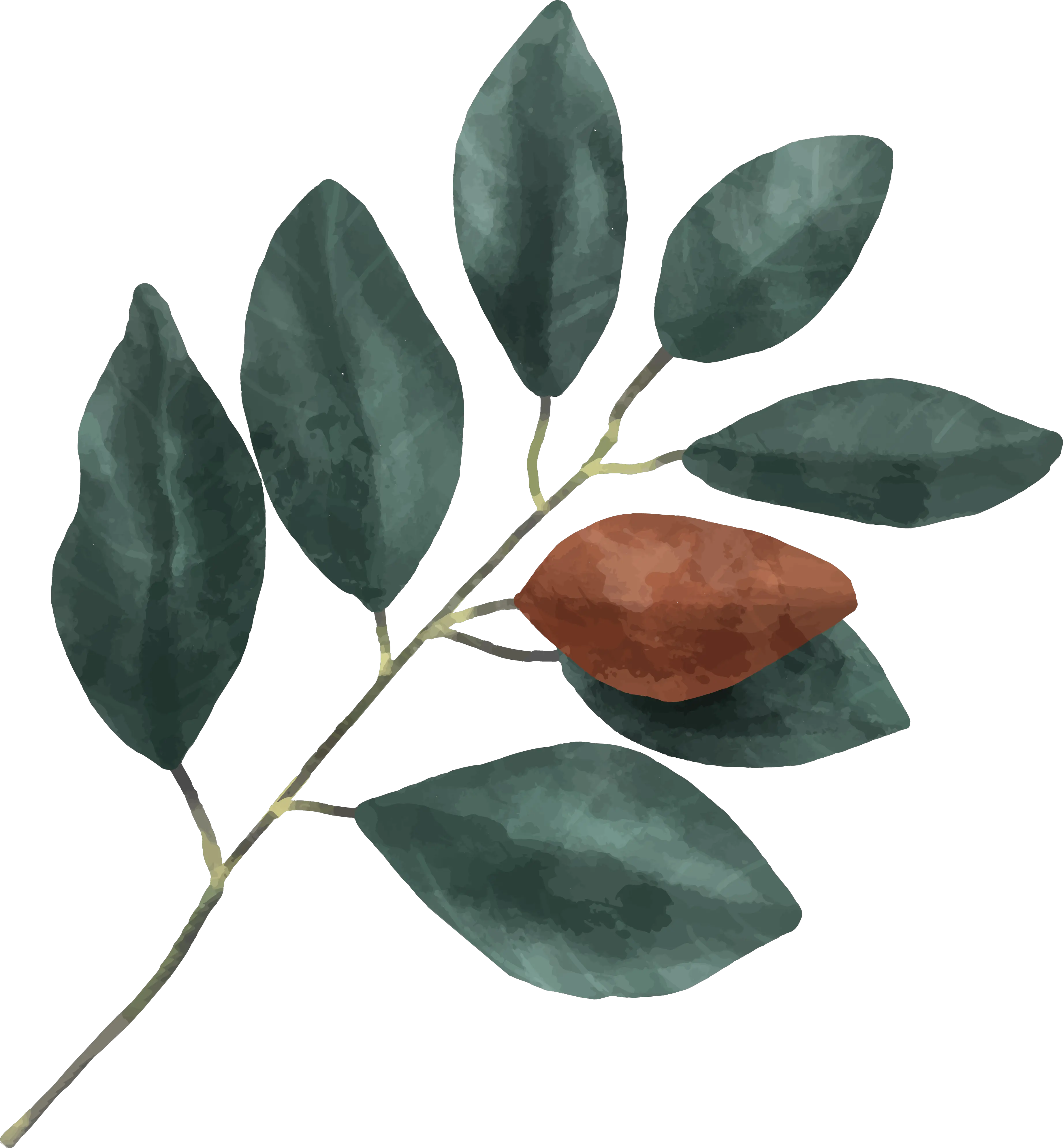  Album U2013 Tagged Sai Gon Coup Duynguyen Linkiconhttps Flower Png Gon Png