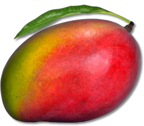  Mango Png Free Download 13 Red Mango Png 13 Png