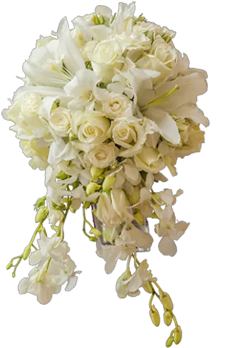  White Wedding Flowers Png Picture 634581 Bouquet Wedding White Png Transparent Wedding Flowers Png