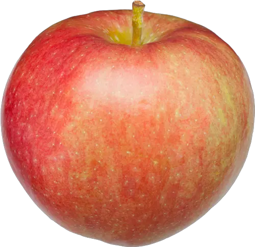  Paula Red Apple Mcintosh Png Red Apple Png