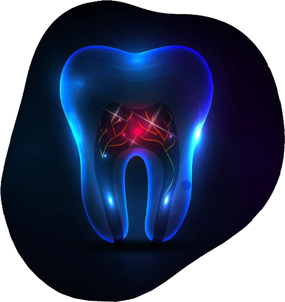  Root Canal Therapy Toothville Family Dentistry Nw Heart Png Root Cause Icon