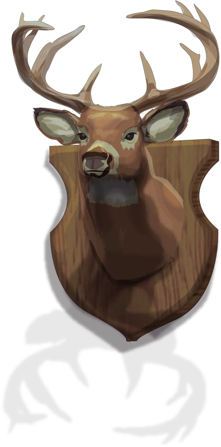  Download Hd Graphic Of A Mounted Buck Head With Horns Elk Png Buck Png