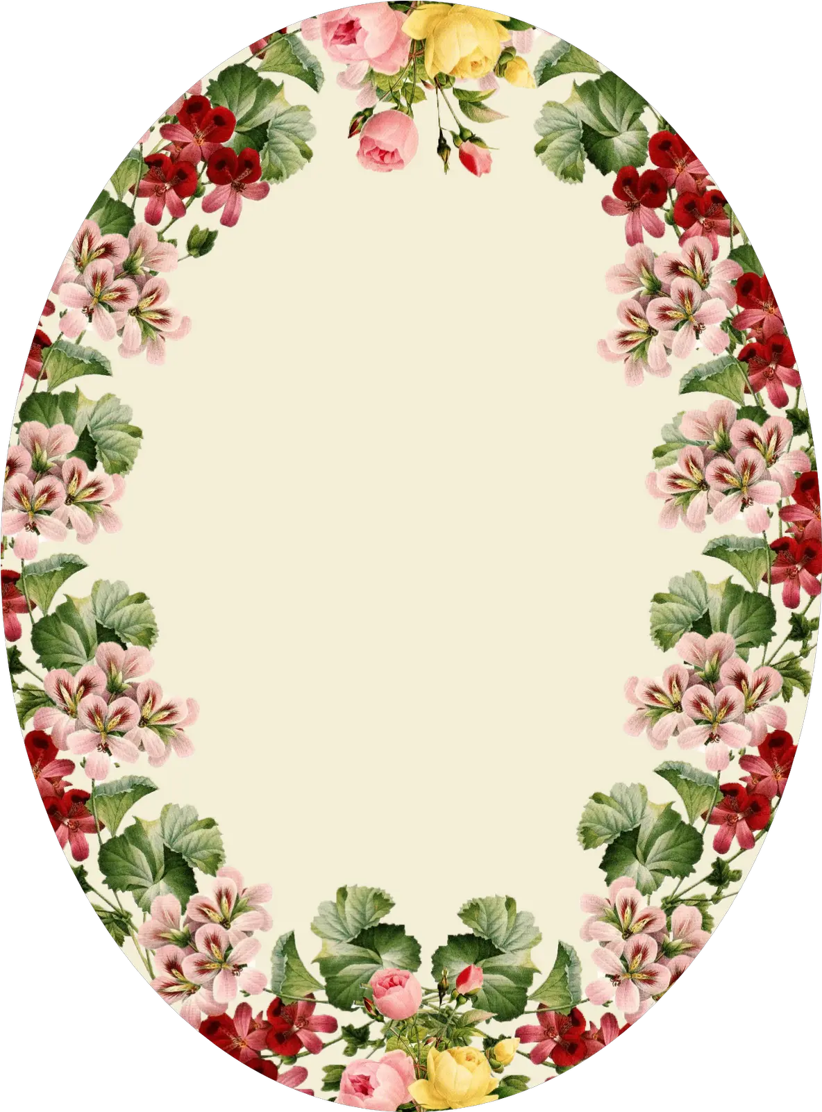  Oval Shape Flower Frame Png Transparent Cartoon Jingfm Epistle To The Ephesians 4 25 Oval Border Png