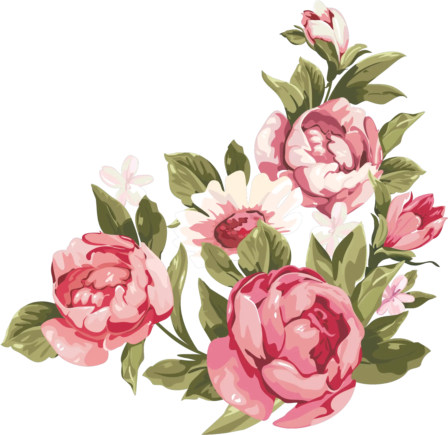  Library Of Peony Crown Stock Png Files Clipart Art 2019 Pink Flowers Border Clipart Peonies Png