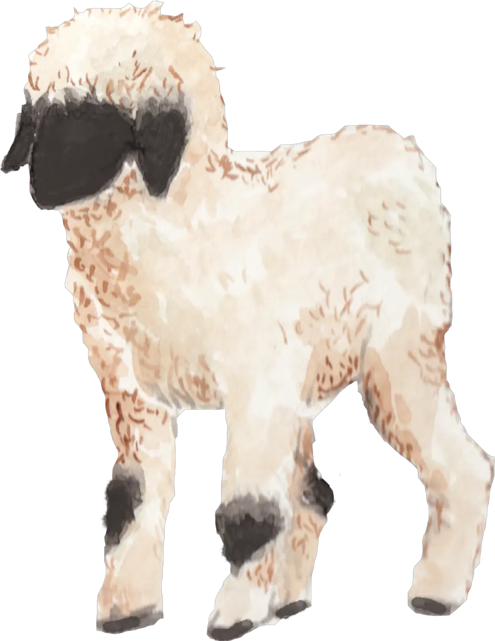  Flora Fauna Kristen Van Veen Animal Figure Png Lamb Png