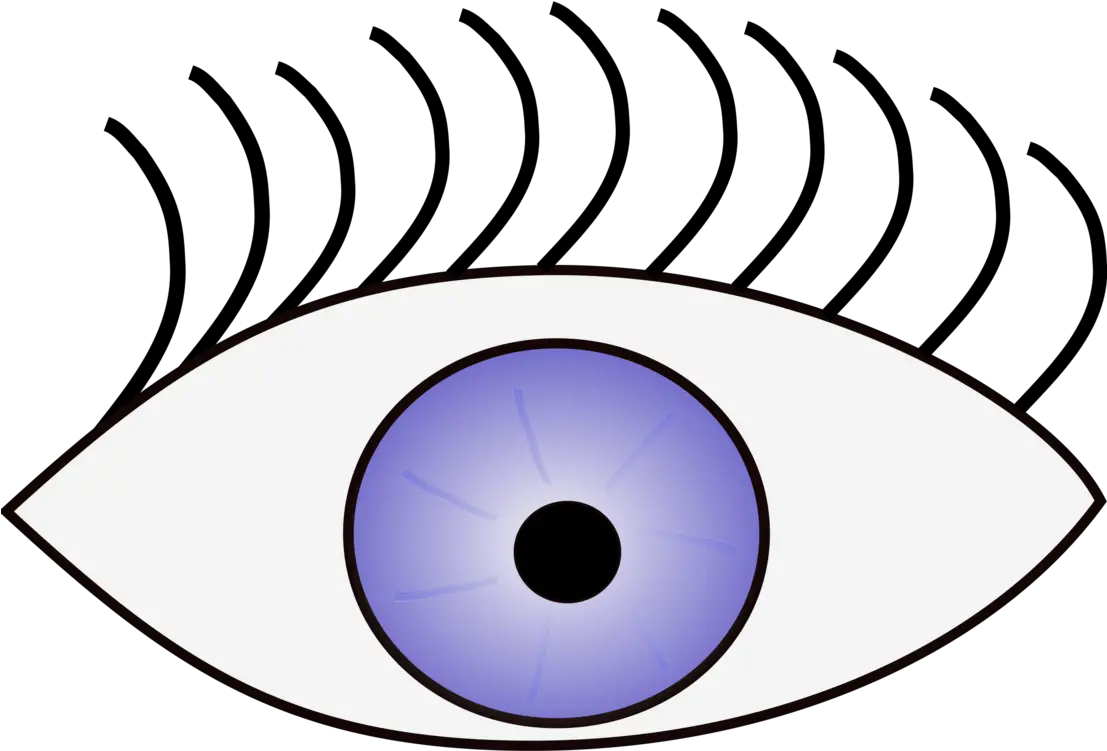  Iris Eye Symmetry Png Clipart Five Senses For Kids Sight Googly Eyes Png