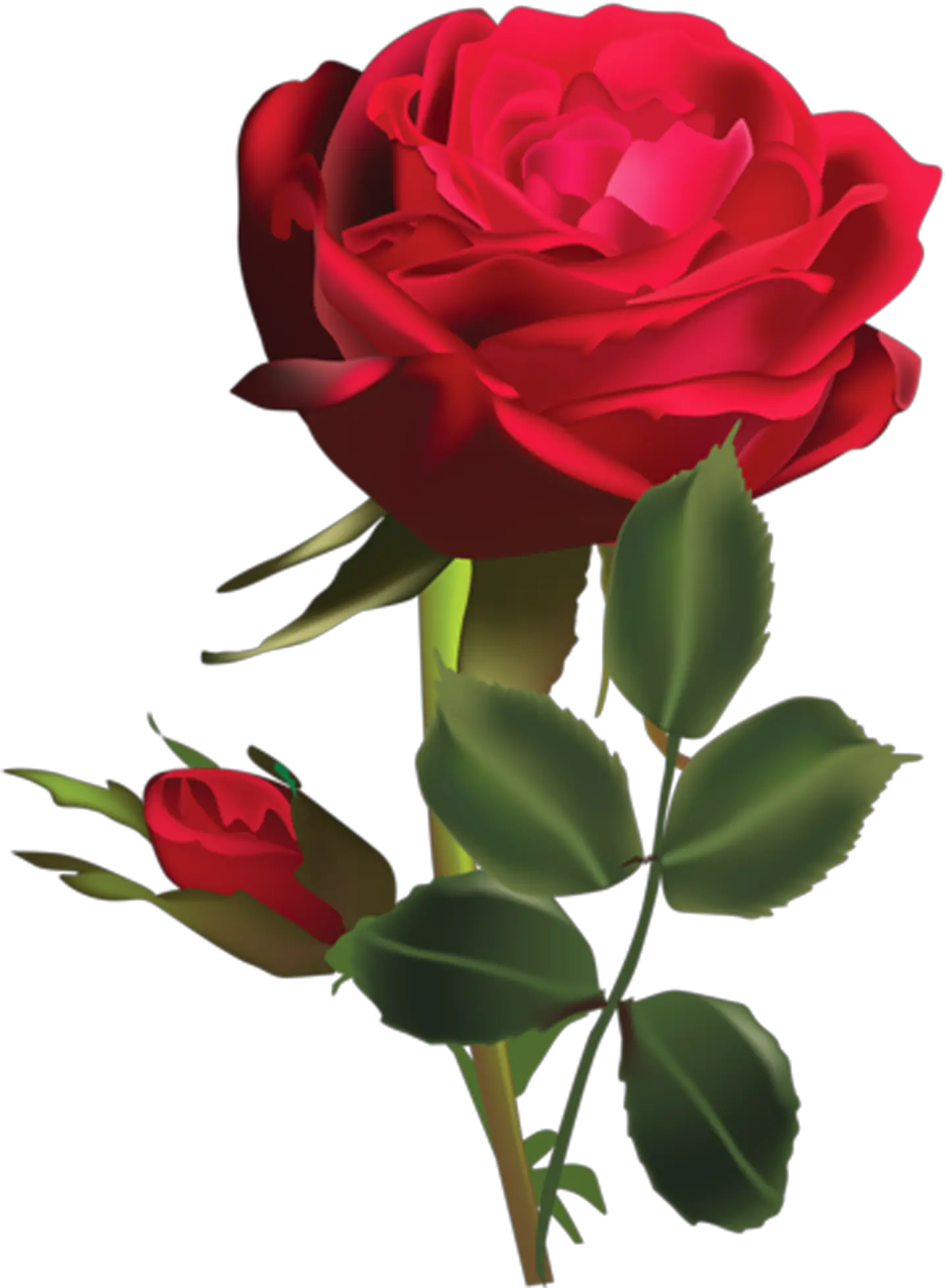  Rosa Roja Png Rose Dp For Whatsapp Rosas Rojas Png