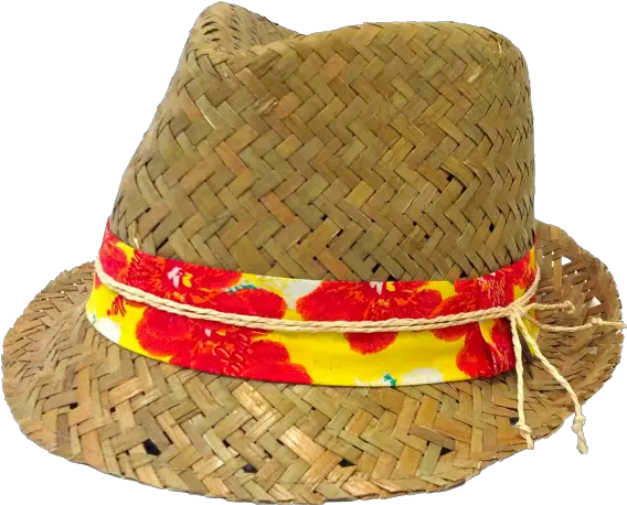  Straw Hat Png Image With No Fedora Straw Hat Png