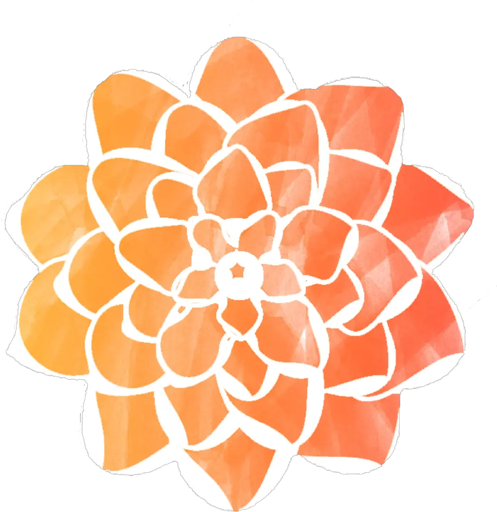  Marigold Events Designs U2014 Maddie Relyea Decorative Png Marigold Transparent