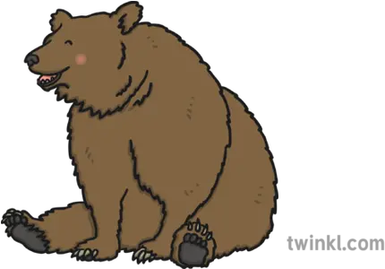  Bear Illustration Twinkl Grizzly Bear Png Bears Png