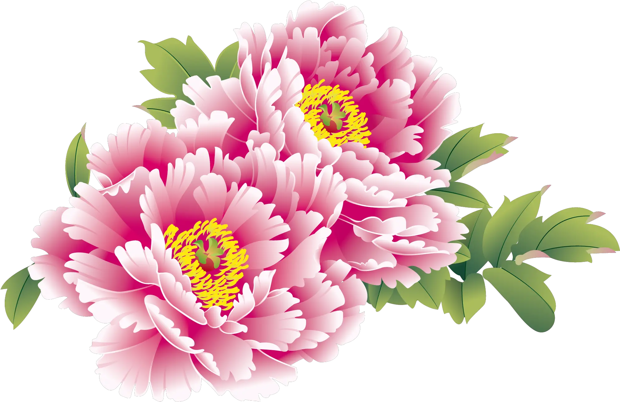  Download Moutan Flower Peony Chinese National Creative China Chinese New Year Flower Png China Png