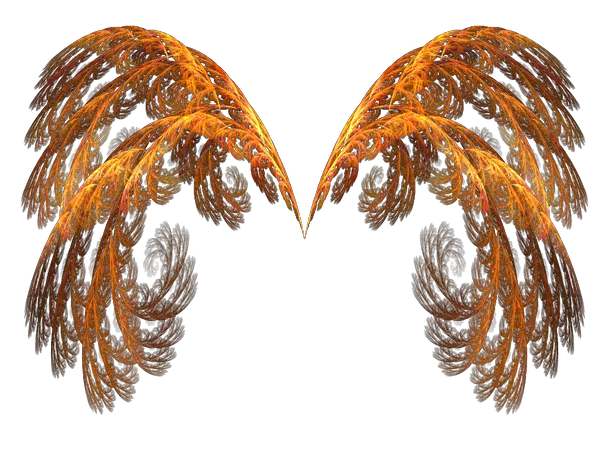  Stylish Editors Bird Wings Png The Messenger Of God Gold Wings Png