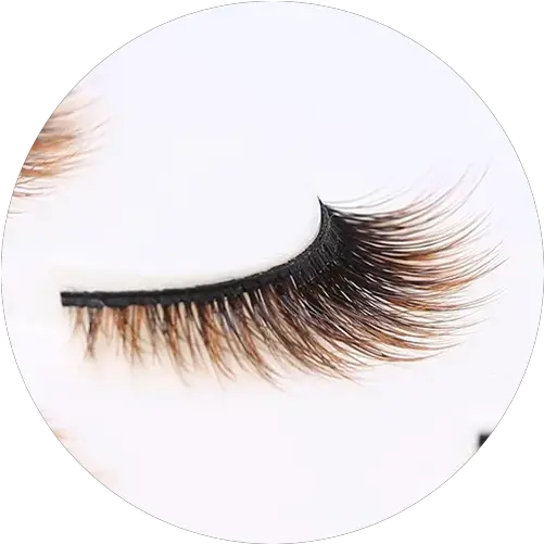  Rebornhairs Inc Manufacturer Of Wigs Hair Extensions 3d Color Lashes Png Lash Icon