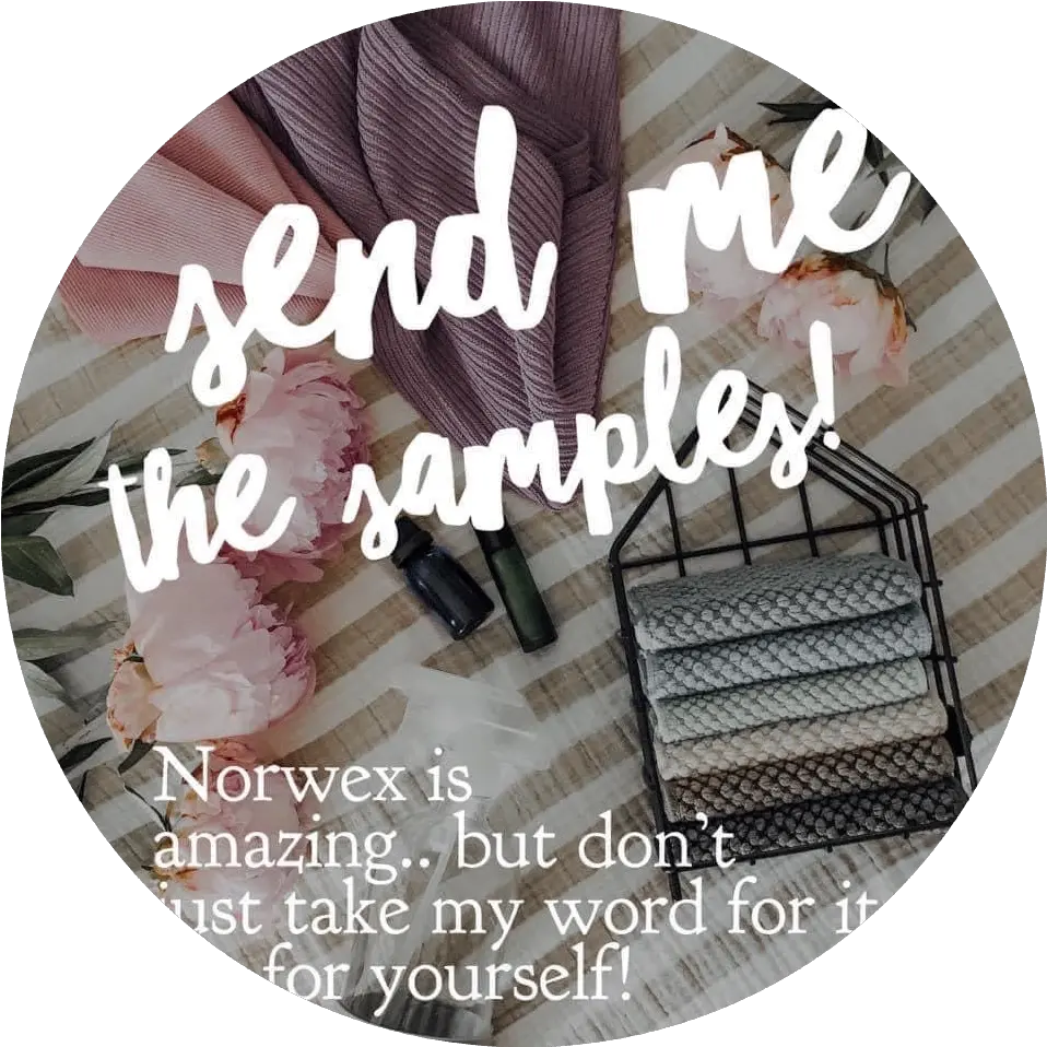 Norwexgirl Linktree Mesh Png Norwex Logo Png