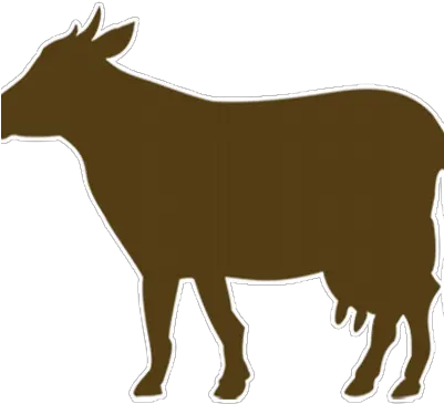  Brown Cow Marketing Bccmrktg Twitter Brown Cow Icon Transparent Png Cow Icon