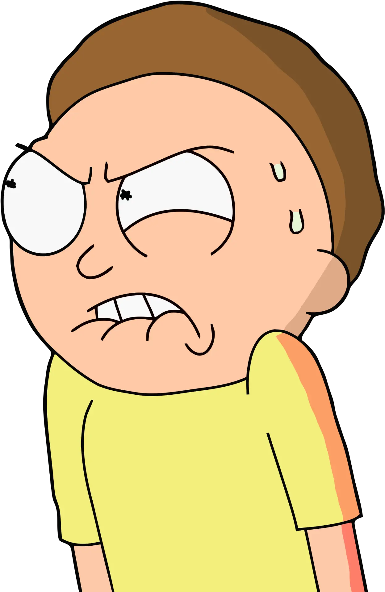  Citadelofwhoseontopnow Morty Smith Morty Png Morty Smith Morty Transparent