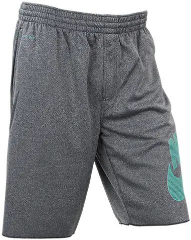  Nike Sb Sunday Dri Fit Boardshorts Png Nike Icon 3.5 Mesh Short