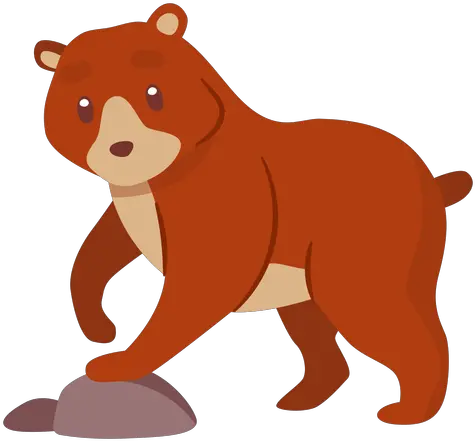  Bear Animal Cartoon Imagen De Animales Png Oso Png