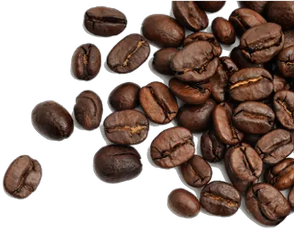  Fullscreen Page Wixtest Transparent Coffee Bean Png Coffee Bean Transparent