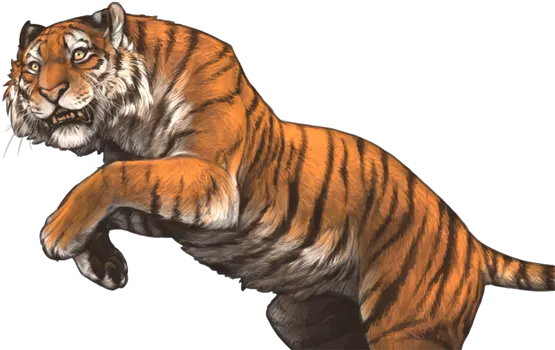  Tigon Hype Lioden Wiki Lioden Tiger Png Tiger Stripes Png