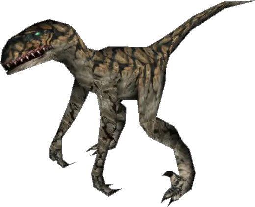  Raptor Png Clipart Vectors Psd Dinosaur Images Hd Png Velociraptor Png