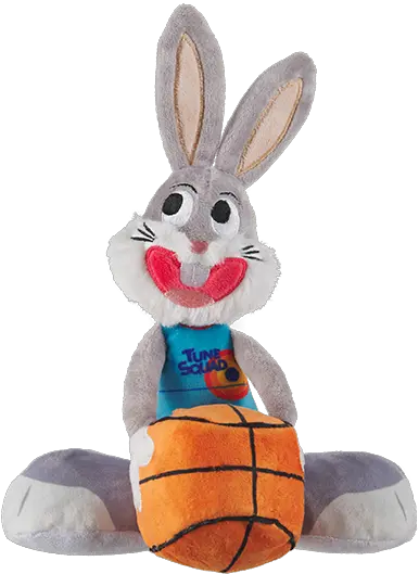  Space Jam A New Legacy Bark Box Space Jam Png Toy Box Icon