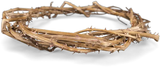  Picture Crown Of Thorns Png Download Thorns Png