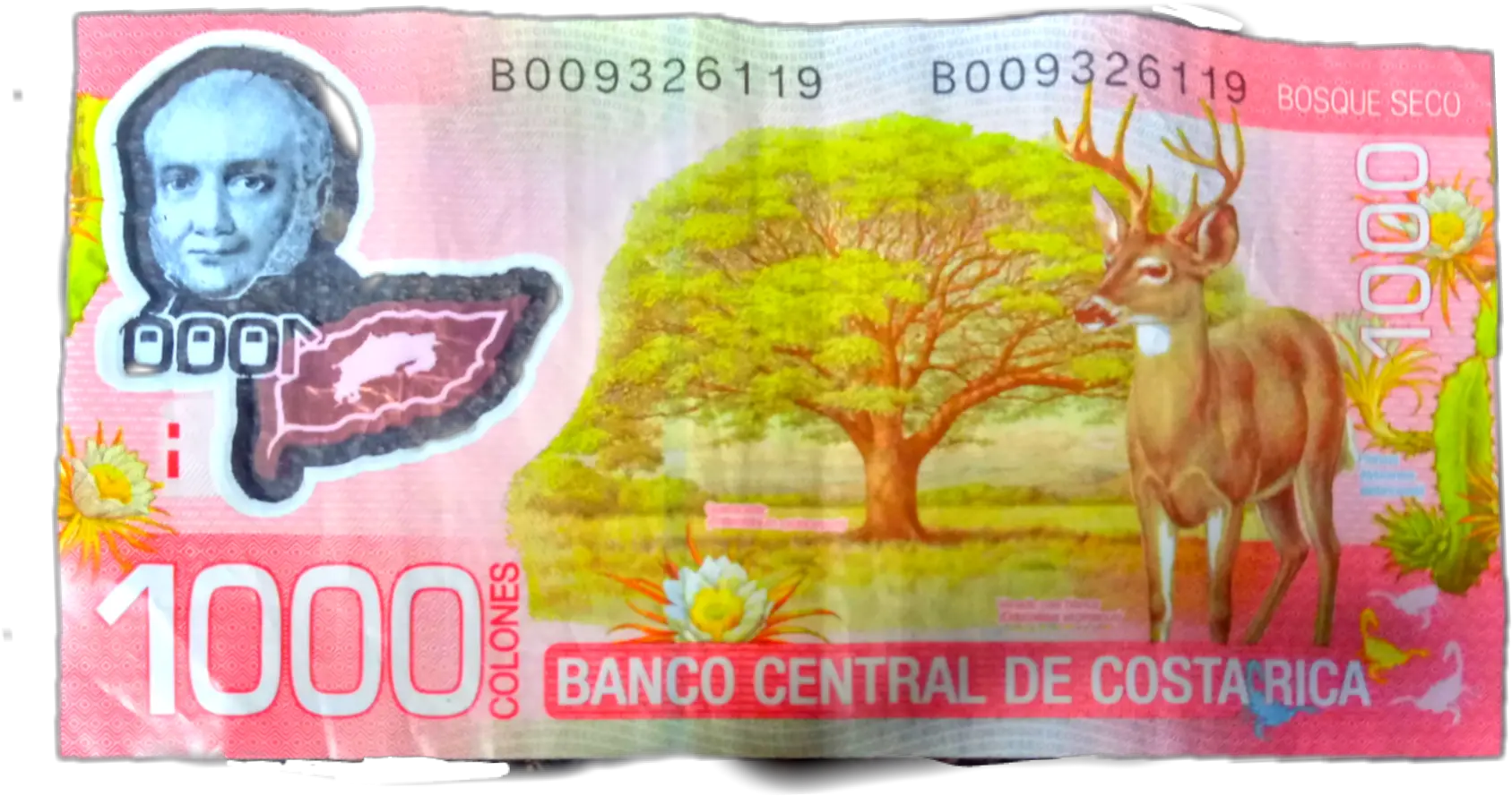  1000 Colones De Costa Rica Rv La Cronica De Culiacan Png Rv Png