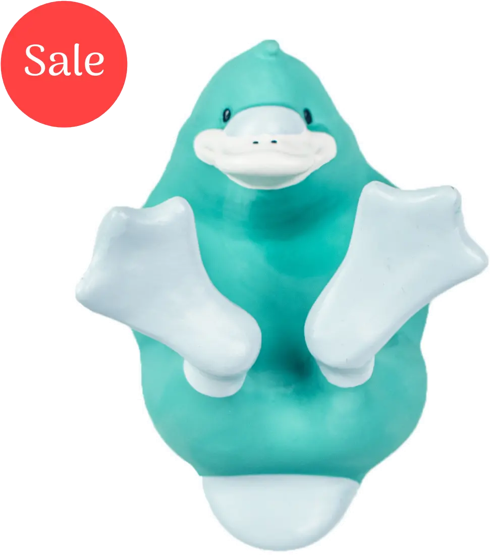  Splash Pals Baby Swim And Teething Toys Platypus Splash Pals Baby Swim Teether Toy Png Platypus Png