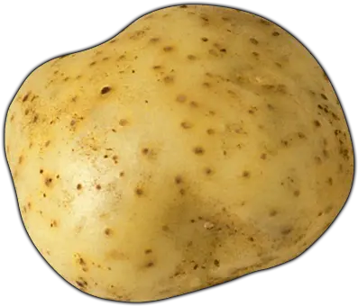  Download Potato Png Transparent Image Transparent Background Potato Clipart Potato Transparent