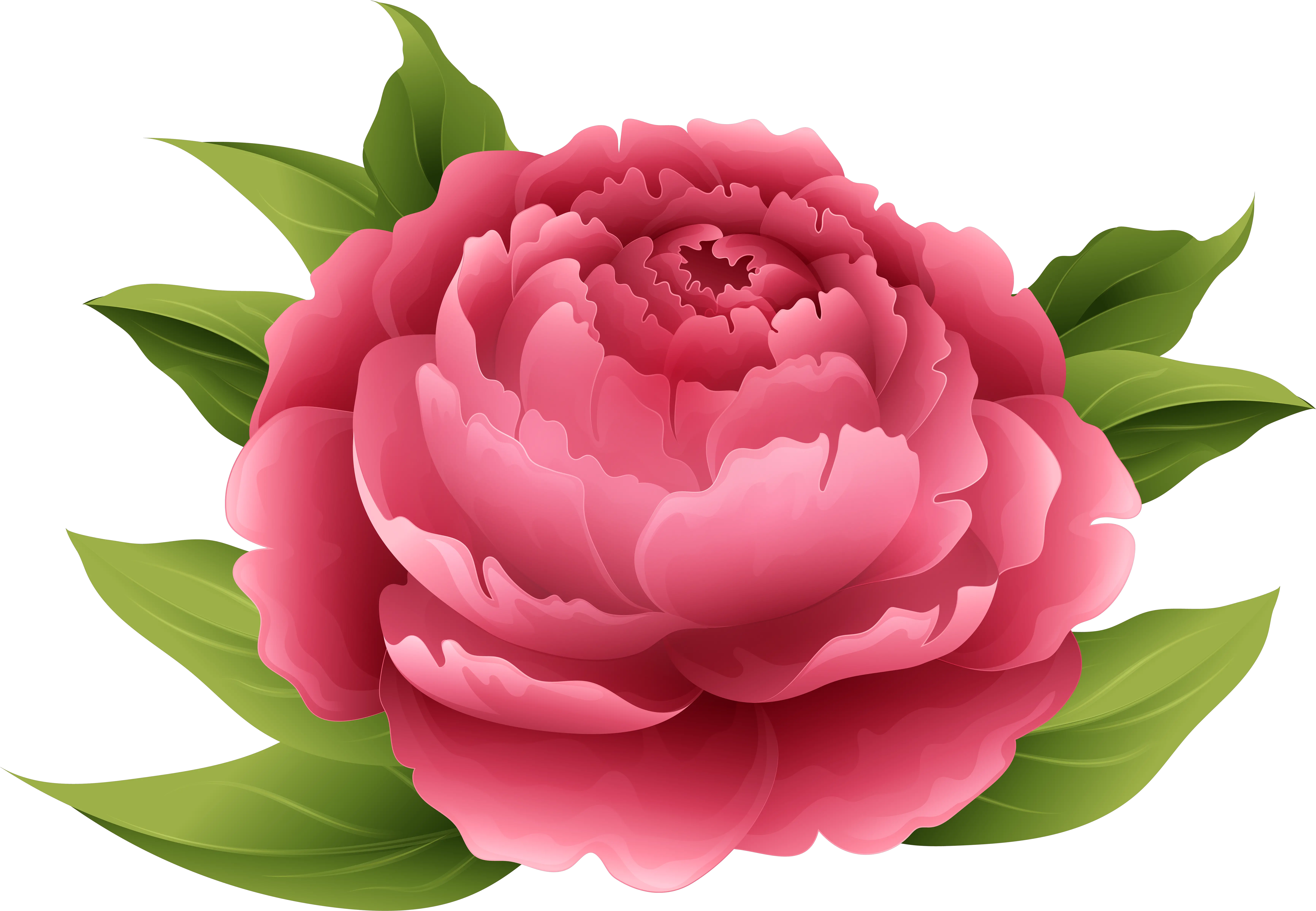  Red Peony Png Clip Art Image Peonies Flowers Clip Art Peonies Png